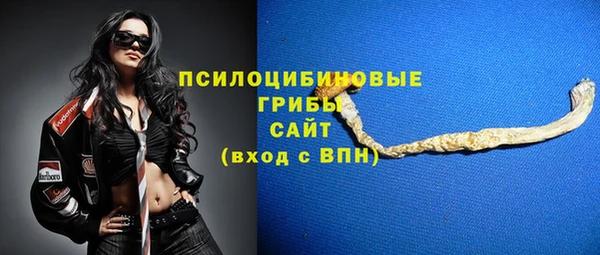 ГАЛЛЮЦИНОГЕННЫЕ ГРИБЫ Краснослободск