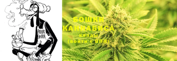 ГАЛЛЮЦИНОГЕННЫЕ ГРИБЫ Краснослободск