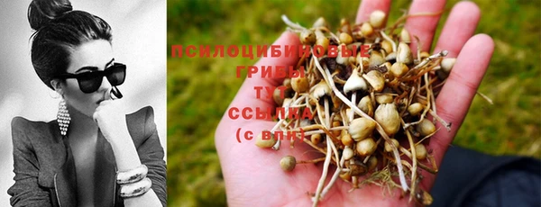 ГАЛЛЮЦИНОГЕННЫЕ ГРИБЫ Краснослободск