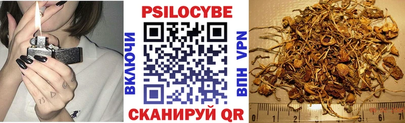 Галлюциногенные грибы MAGIC MUSHROOMS  наркота  Спас-Клепики 